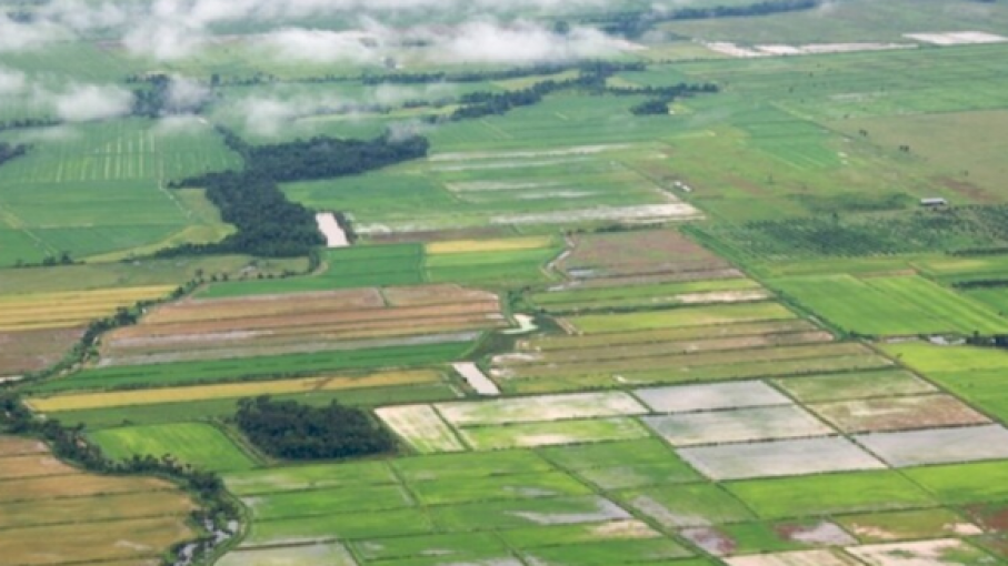 Bolivia enfrenta un problema de deforestación por la soja y es peor de lo que se pensaba