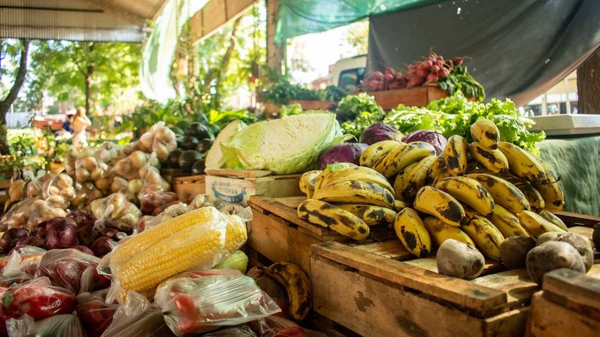 Sequía y calor impactan en precio de frutas y verduras