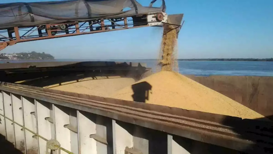 Por el impacto de la sequía y el proceso electoral, la liquidación de divisas del agro cayó un 25% en octubre