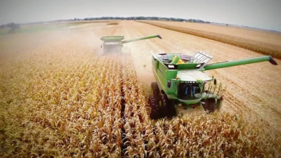 Advierten que febrero será "uno de los meses más bajos de la historia" en términos de ingreso de divisas del agro