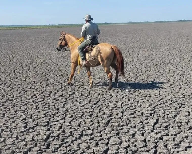 Declaran emergencia agropecuaria en Chaco por sequía y la prorrogan en Corrientes por incendios