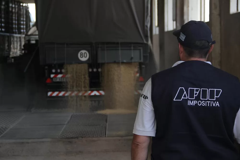 Controles de AFIP sobre el agro: incautaron más de 100 toneladas de cereales valuados en $5 millones