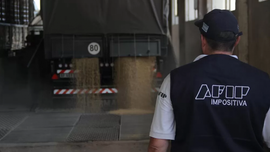 Controles de AFIP sobre el agro: incautaron más de 100 toneladas de cereales valuados en $5 millones