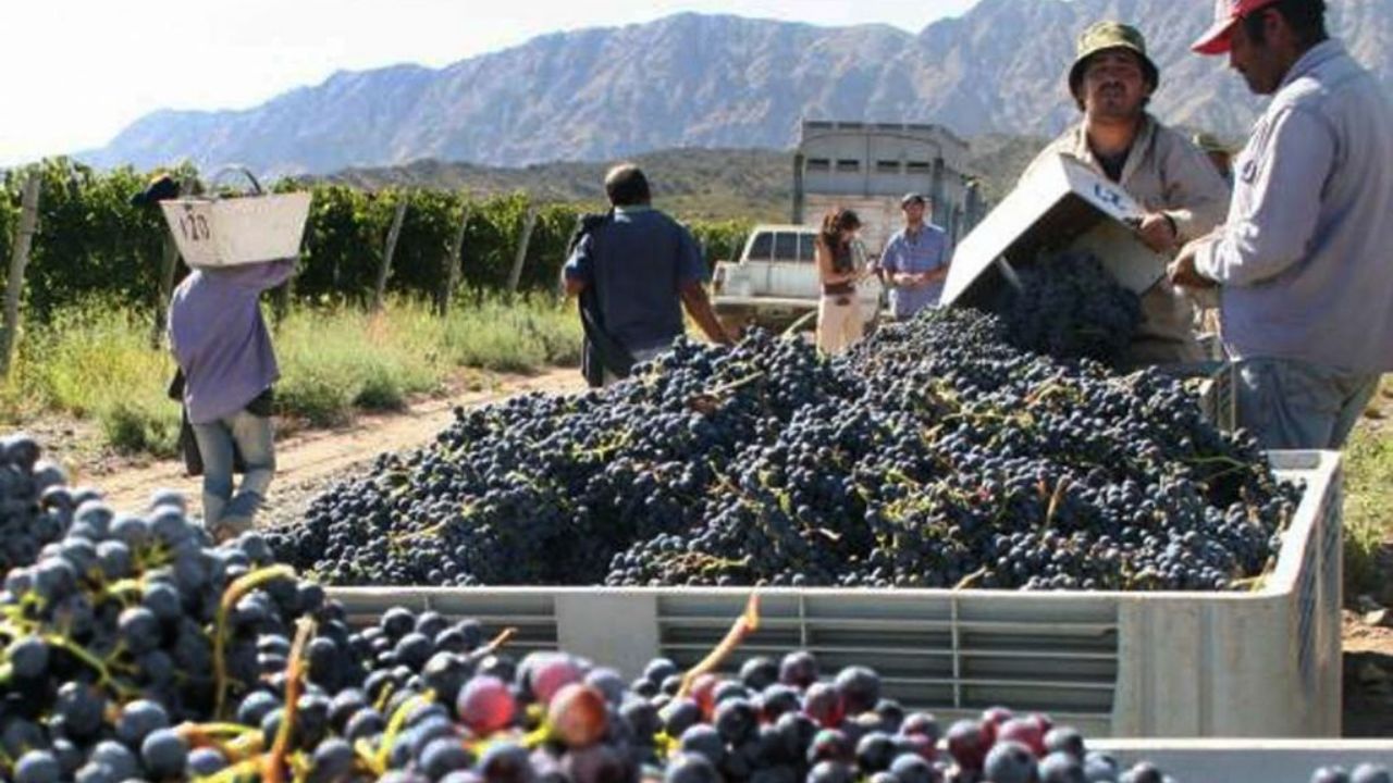 Exportaciones del sector cooperativo crecieron 167% en 5 años
