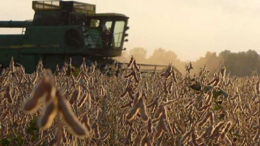 Se multiplican los condicionantes que afectan el rumbo del mercado agrícola