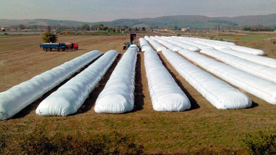 Los sojeros todavía poseen 6 millones de toneladas en silobolsas pero se niegan a liquidar
