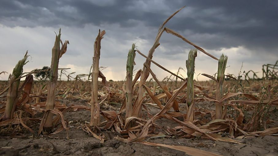 Se termina "La Niña": ¿cuándo llega el fin de la sequía en Argentina?