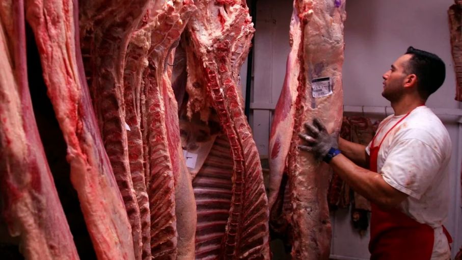 Aseguraron que las exportaciones de carne vacuna en enero fueron las mayores de los últimos 19 años