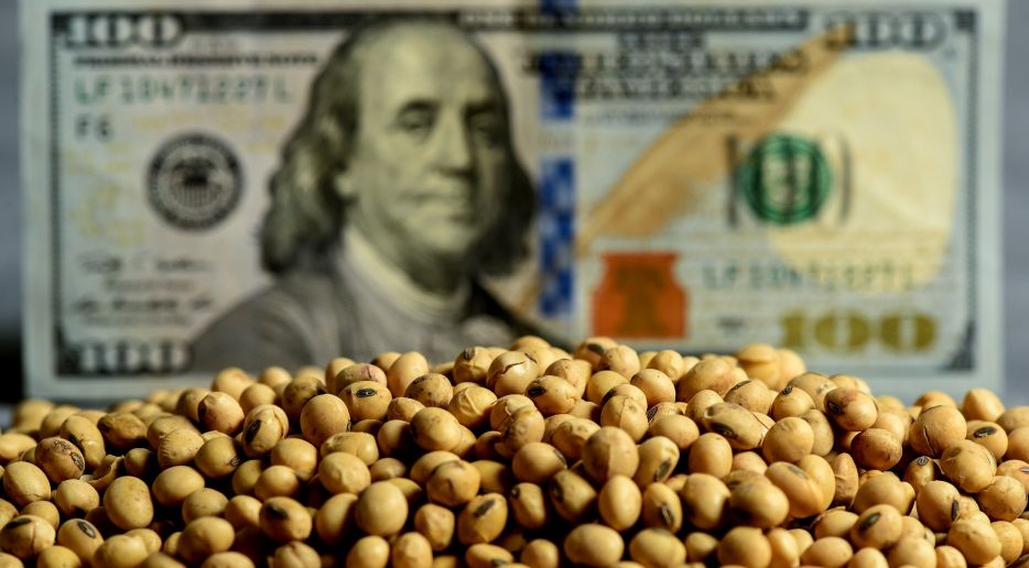 A una semana de finalizar el "dólar soja" se comercializaron más de 3 millones de toneladas