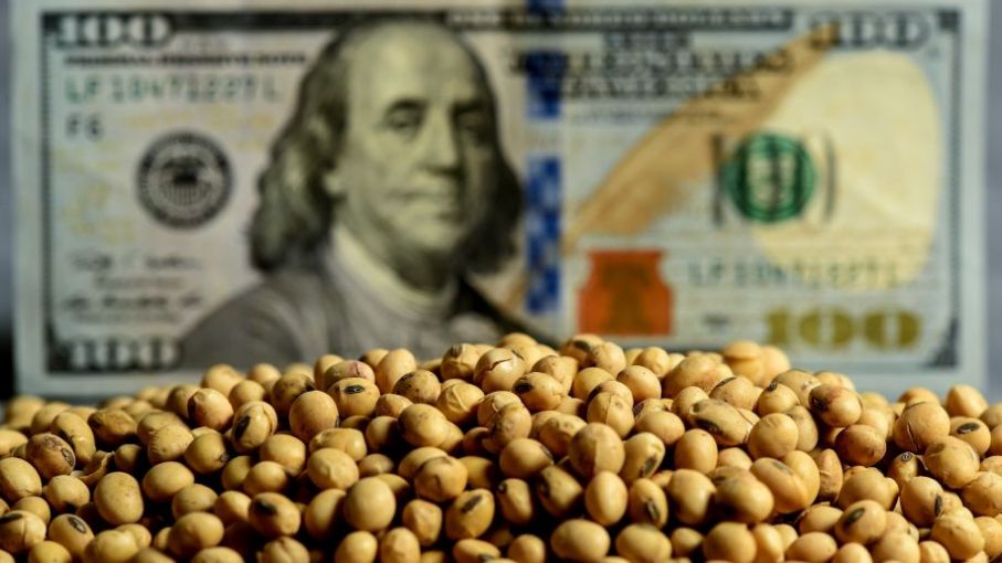 La gran expectativa del agro argentino está puesta en un dólar soja en cosecha