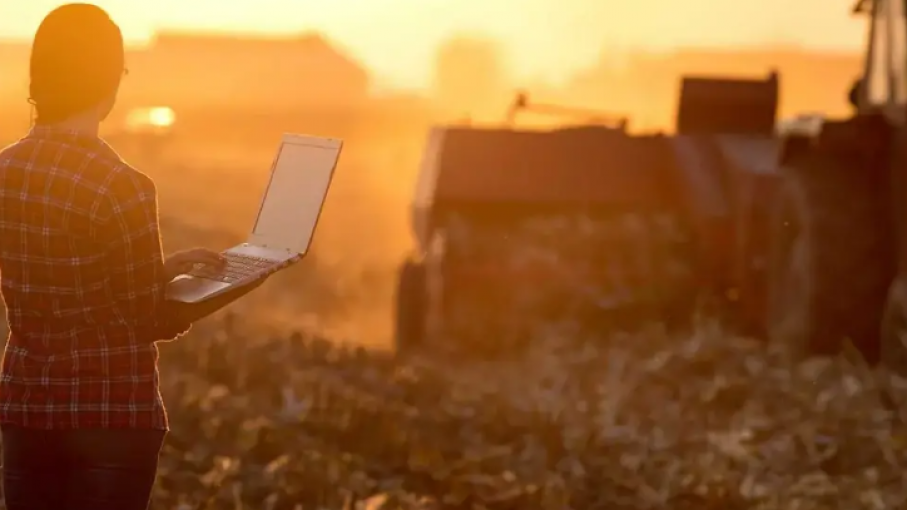 ¿Por qué es más eficiente el uso del comercio electrónico en el agro?