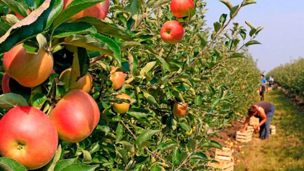 Economas regionales: exportaciones alcanzan monto rcord de casi dos aos y supervit de US$7.858 millones