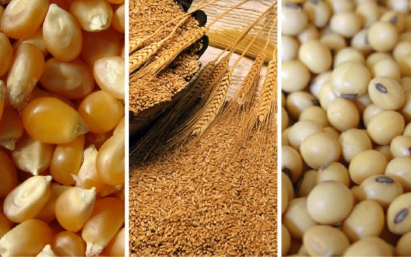 China importará una cantidad récord de cereales y oleaginosas en 2024 