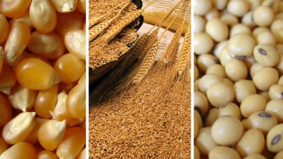 China importar una cantidad rcord de cereales y oleaginosas en 2024 