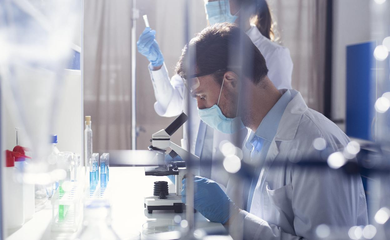 Científicos trabajan con bacterias capaces de producir aceites