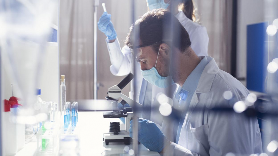 Científicos trabajan con bacterias capaces de producir aceites