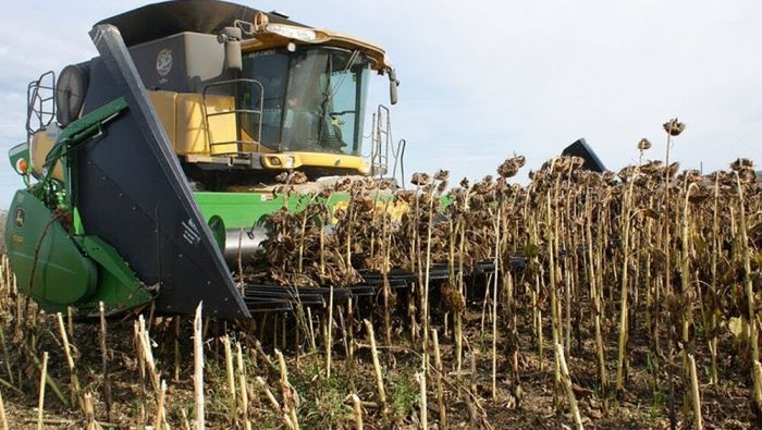 El campo volvió a liquidar menos dólares y su aporte se desploma