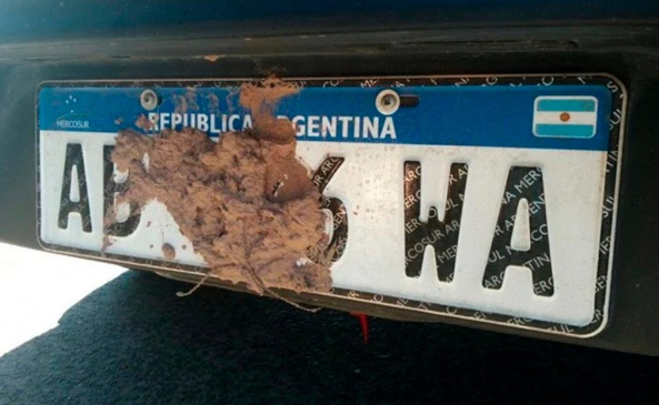 Cuanto cuesta la multa por tapar la patente?