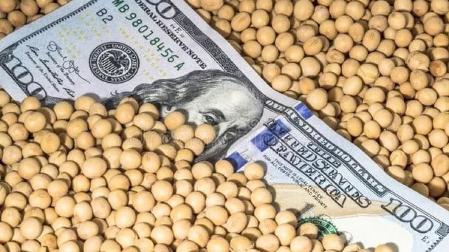 Qué espera el mercado del dolar Agro para el complejo sojero