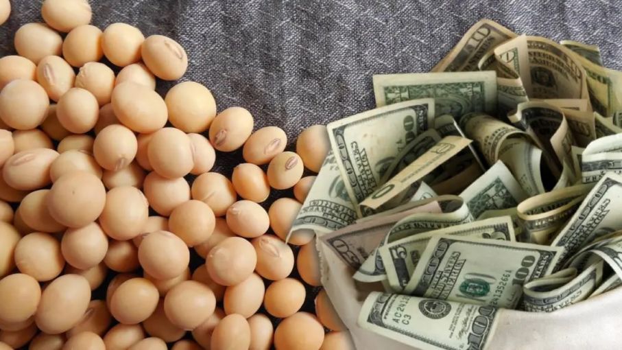 No hubo liquidaciones por el dólar agro y el Banco Central debió vender USD 100 millones en el mercado
