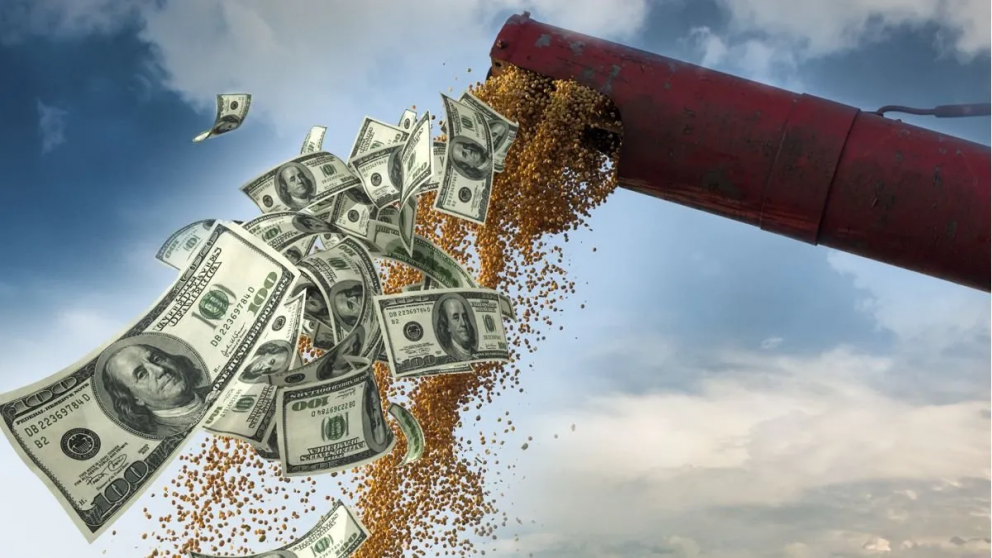 Los exportadores tendrn las mismas condiciones para liquidar que en las ediciones anteriores