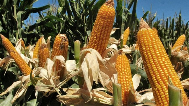 Macri insta a eliminar las retenciones y destaca el papel del sector agropecuario como motor económico del país