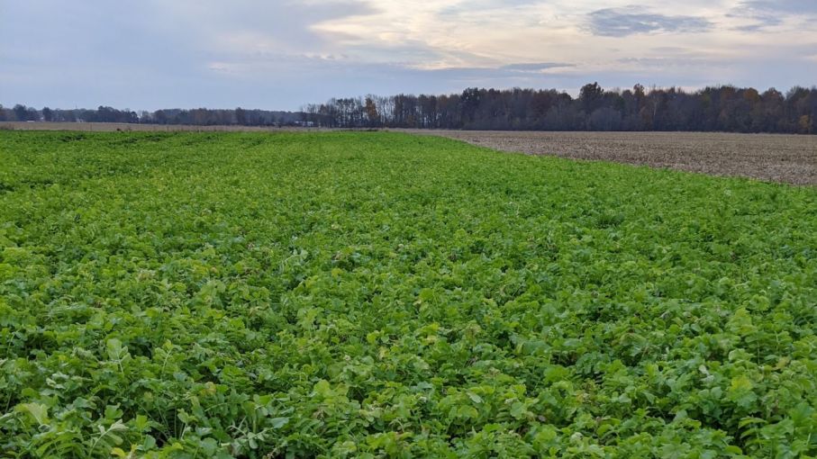 Cómo la agricultura sostenible puede combatir la sequía y crear sistemas alimentarios resilientes
