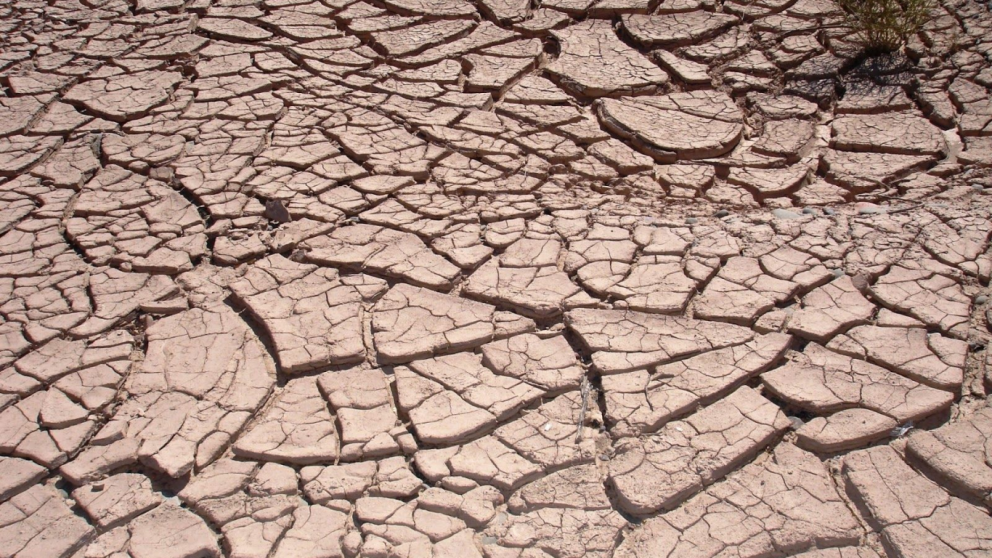Ministerio de Economa declara la emergencia agropecuaria en Santiago del Estero por la sequa