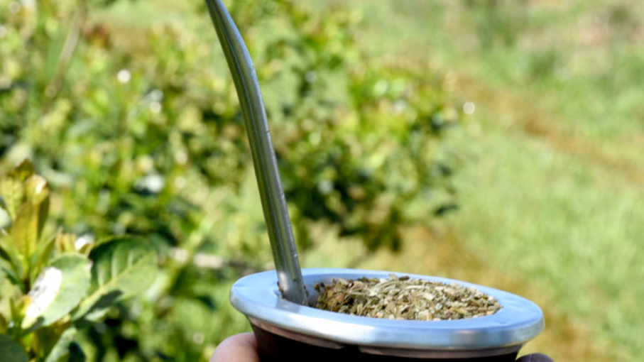 Enero registró incrementos en las ventas al mercado interno y en exportaciones de yerba mate