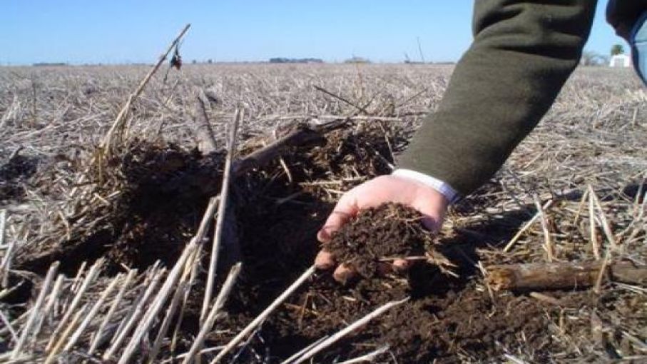 Los suelos de la Argentina almacenan el 2 % de la reserva mundial de carbono