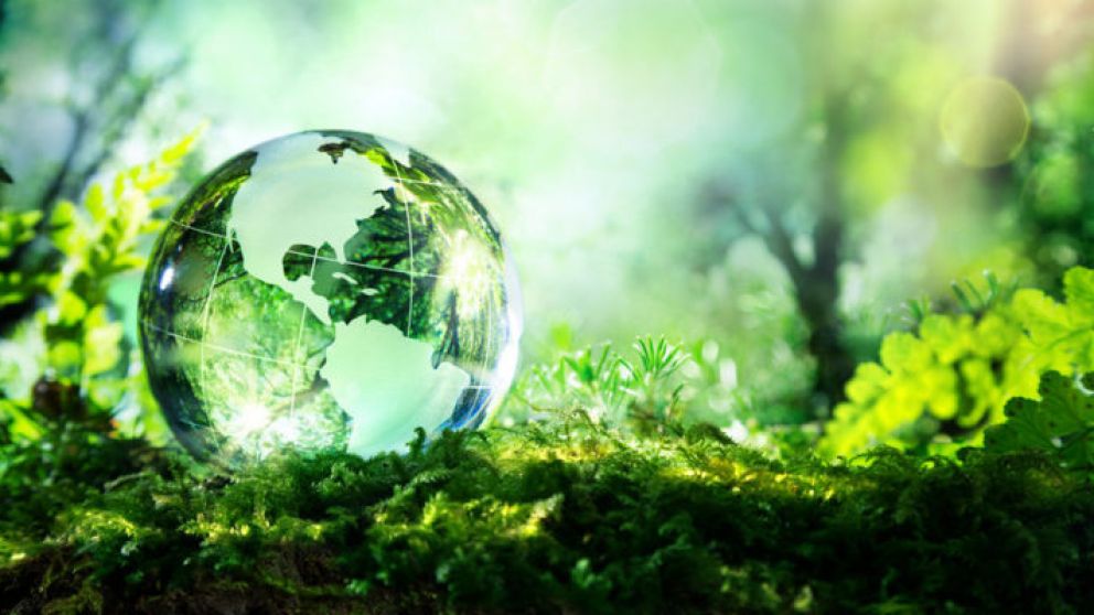 Productores argentinos obtienen un 6 sobre 10 en sustentabilidad
