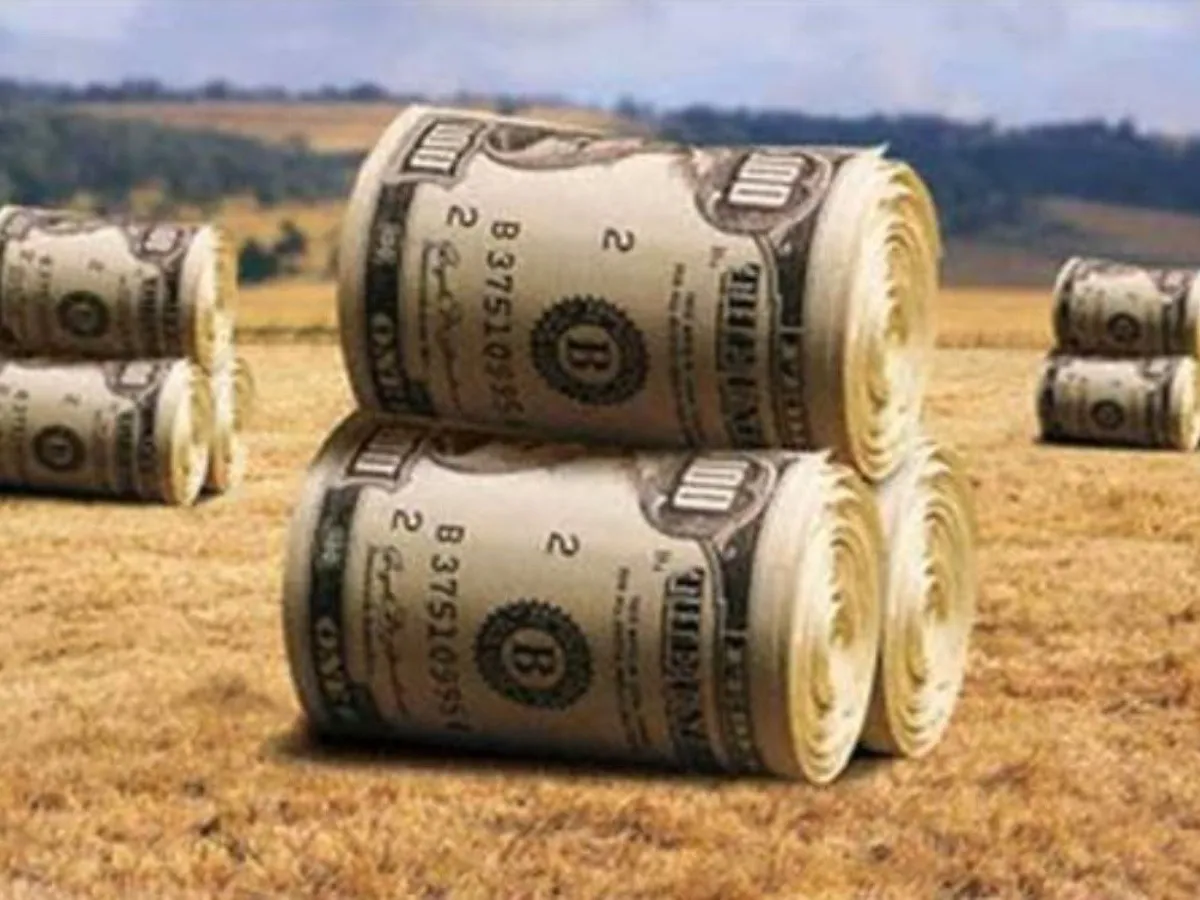 El dólar no afloja y el campo no liquida: por qué sigue la tensión en el mercado