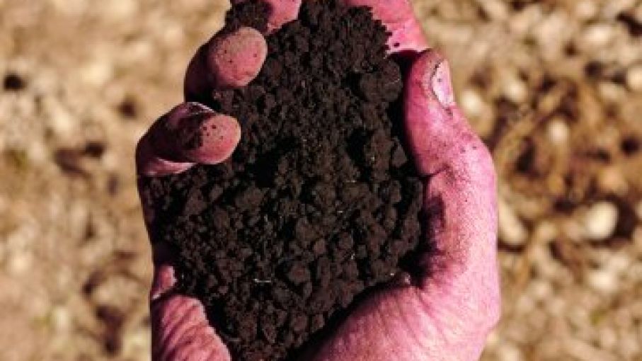 La verdad sobre la capacidad del suelo para secuestrar carbono