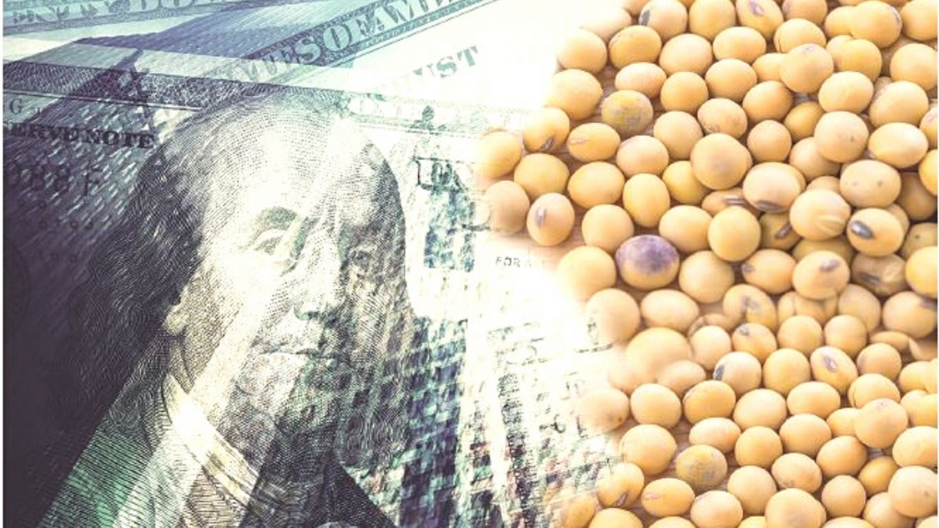 Dólar soja 3: exportadores ya advierten que no van a llegar al número de liquidación que espera Massa