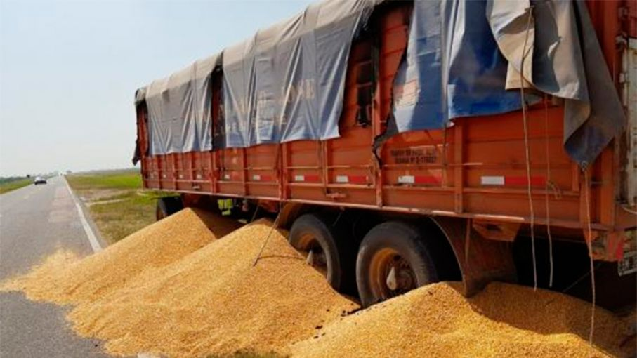 Incautan 10 camiones en Corrientes y Santa Fe con 314 toneladas de granos por $25 millones