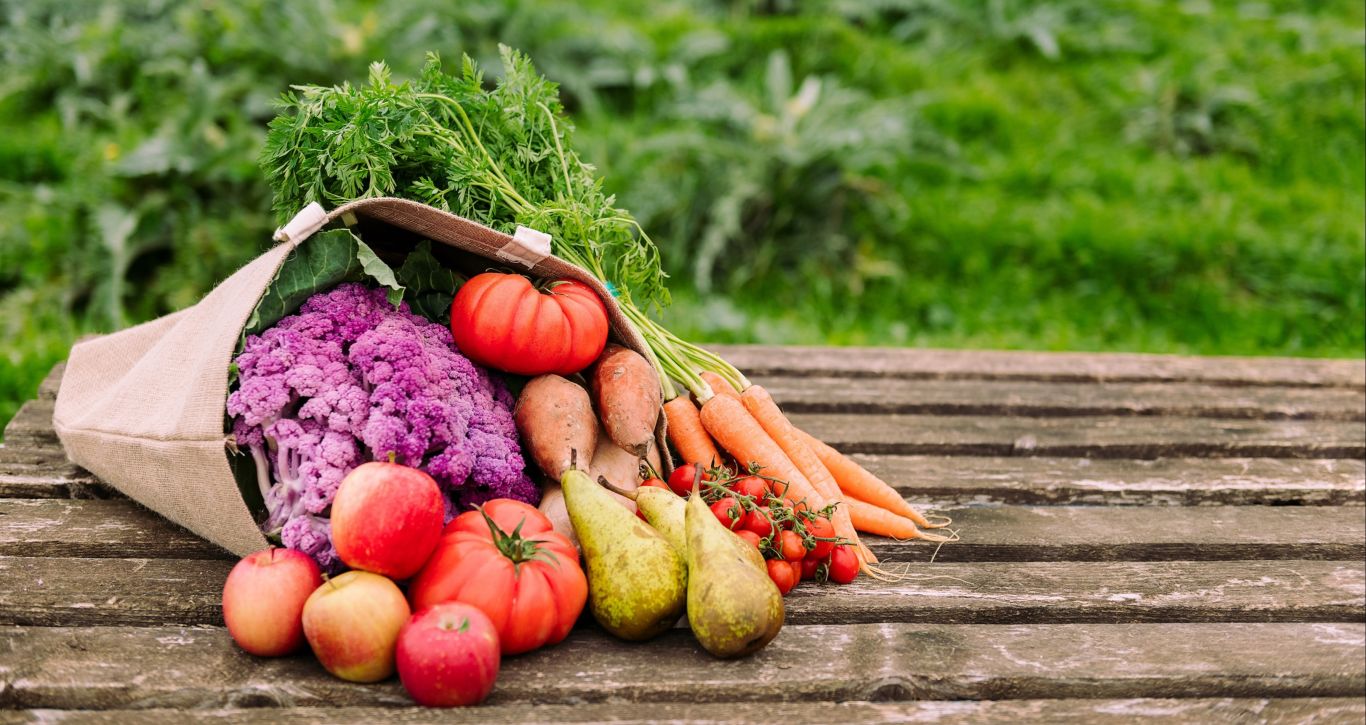 FAO considera "muy preocupante" la situación global de inseguridad alimentaria