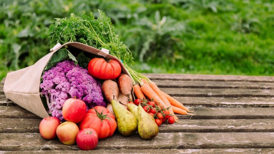 FAO considera "muy preocupante" la situación global de inseguridad alimentaria