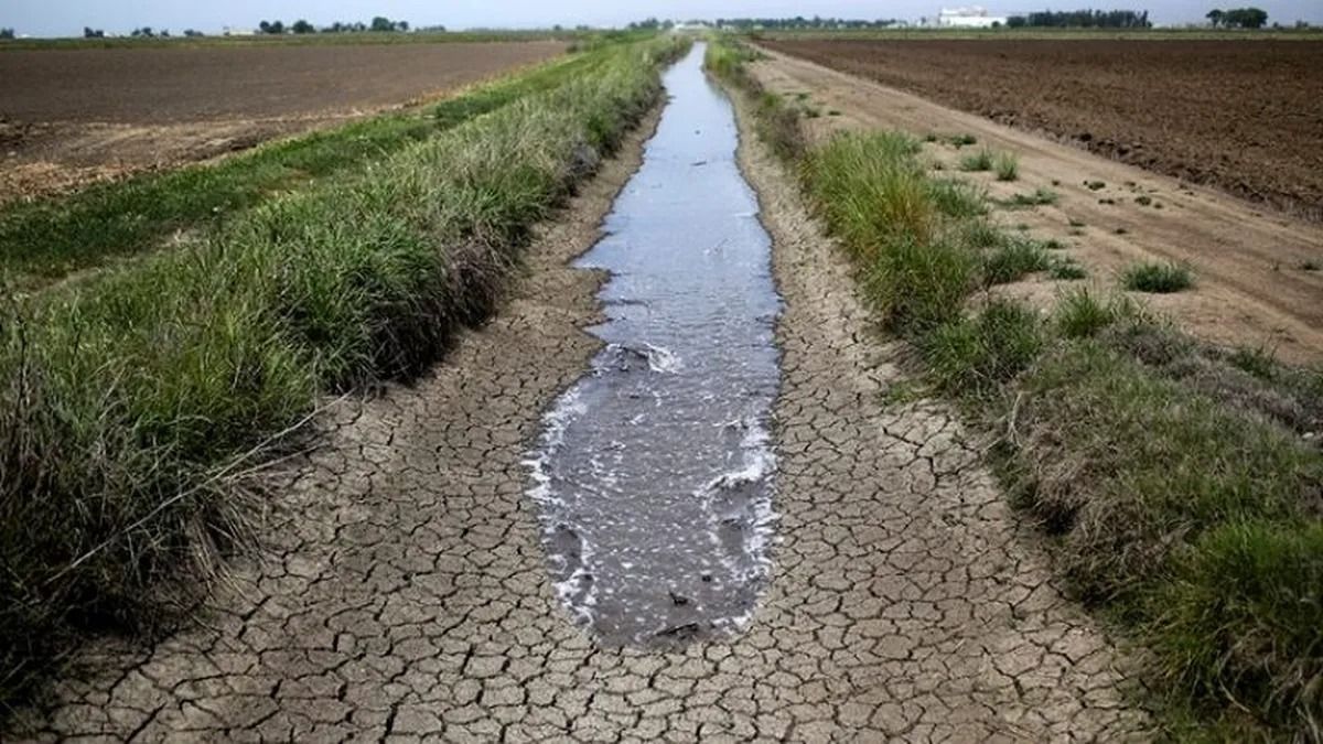 Uruguay prorrogará la emergencia agrícola