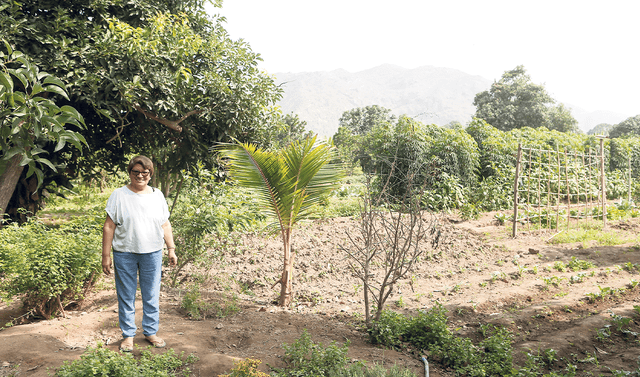 Agricultura orgánica: la opción de alimentos saludables que emplea a 110.000 productores