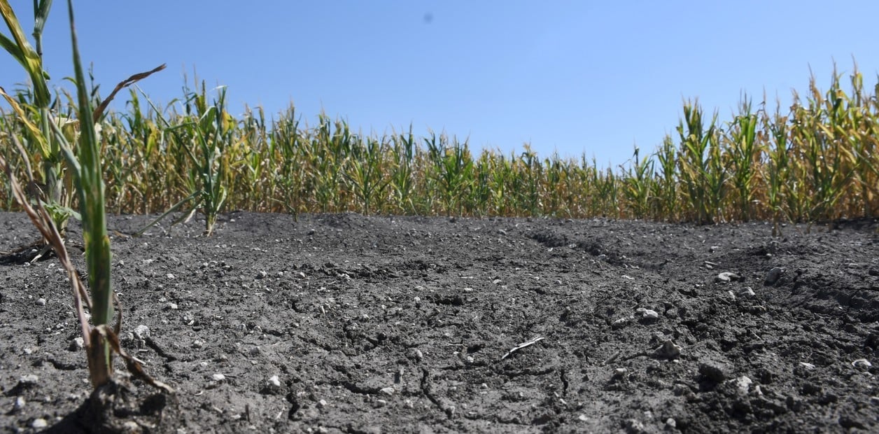 Declaran en situación de emergencia por la sequía a productores citrícolas y cañeros de Salta