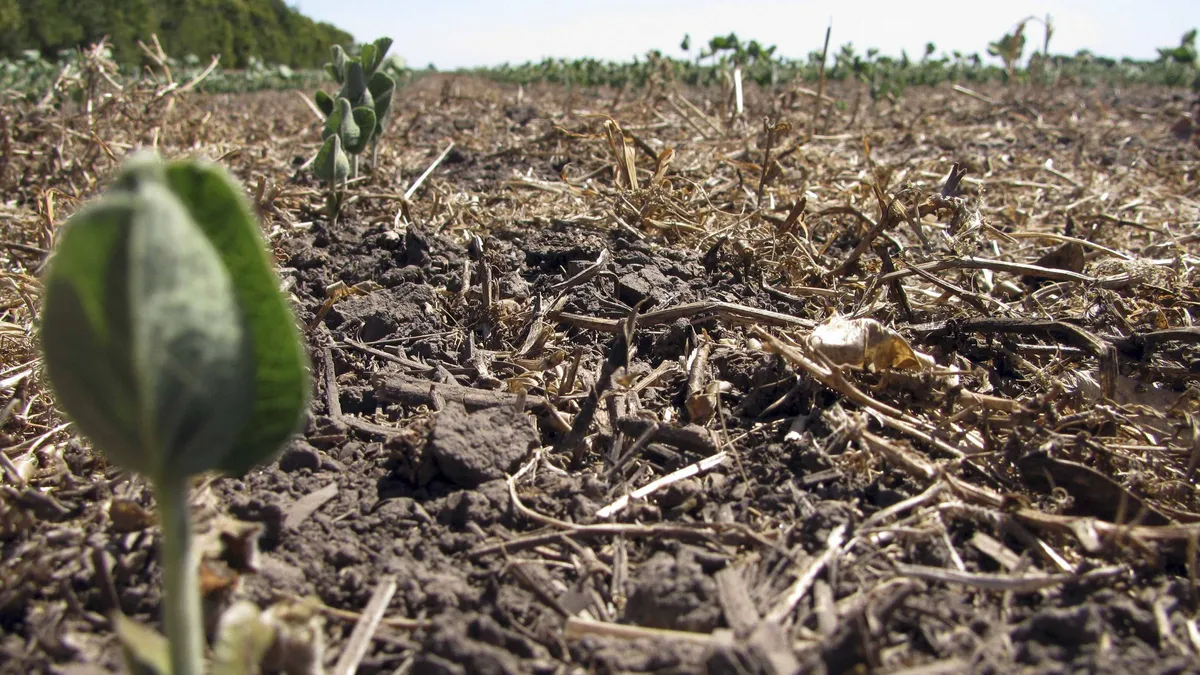Economía amplía la emergencia agropecuaria en La Pampa por la sequía