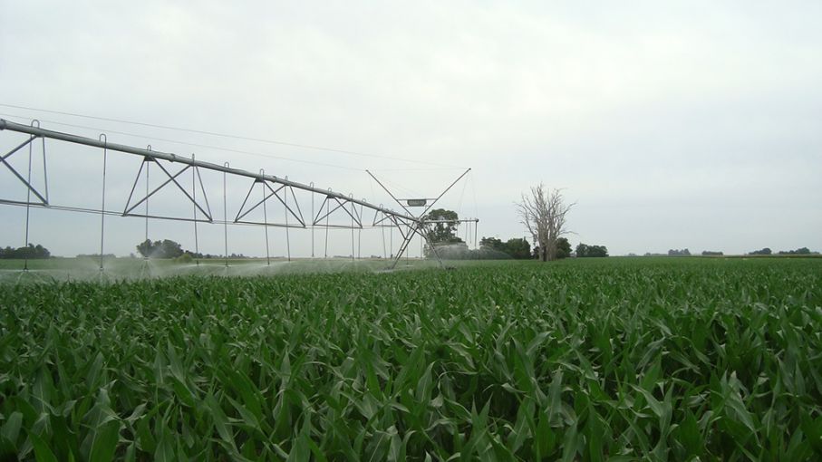 El Gobierno aprobó inversión de $600 millones para proyectos del Plan Argentina Irrigada