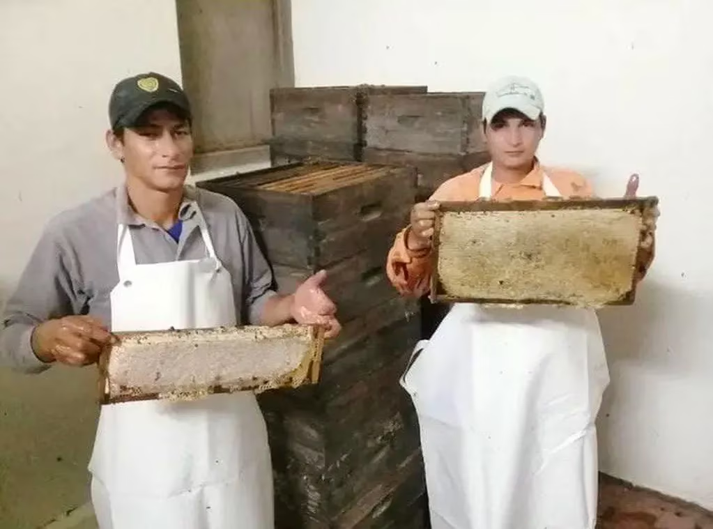 "Semáforo rojo" para los productores de miel: advierten estar "relegados" por los costos y la brecha cambiaria