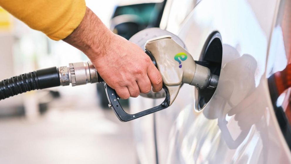 Inesperado cambio de escenario: un gigante automotriz apuesta por los combustibles sintticos