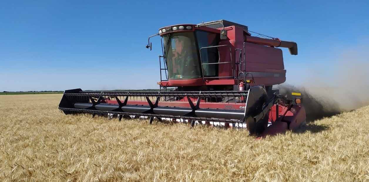 Agroexportaciones cayeron un 23% interanual en abril