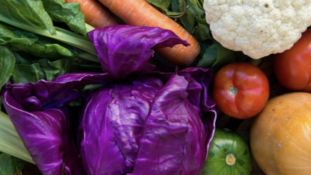 Actualizan normativa sobre BPA: serán obligatorias para frutas, hongos, legumbres y hierbas