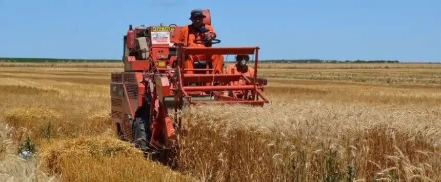 Declaran la emergencia agropecuaria en 68 partidos de la provincia de Buenos Aires
