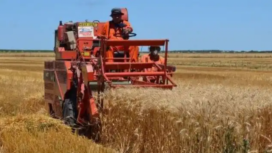 Declaran la emergencia agropecuaria en 68 partidos de la provincia de Buenos Aires