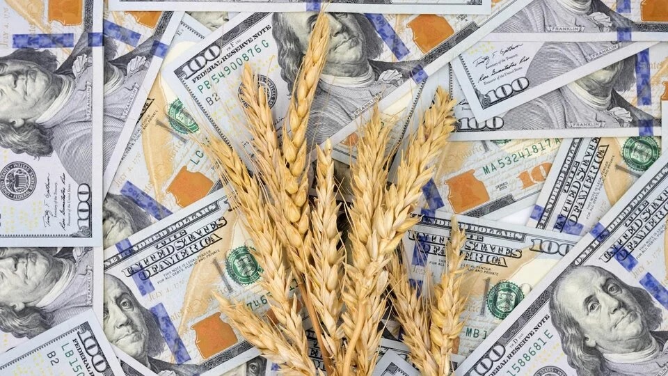 Exportadores liquidaron US$ 99 millones dentro del denominado "dólar agro"