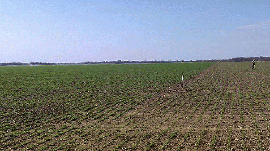 Pronostico Agroclimático Semanal del 4 al 10 de Mayo 2023